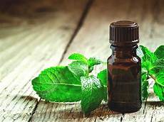 Candy With Mint